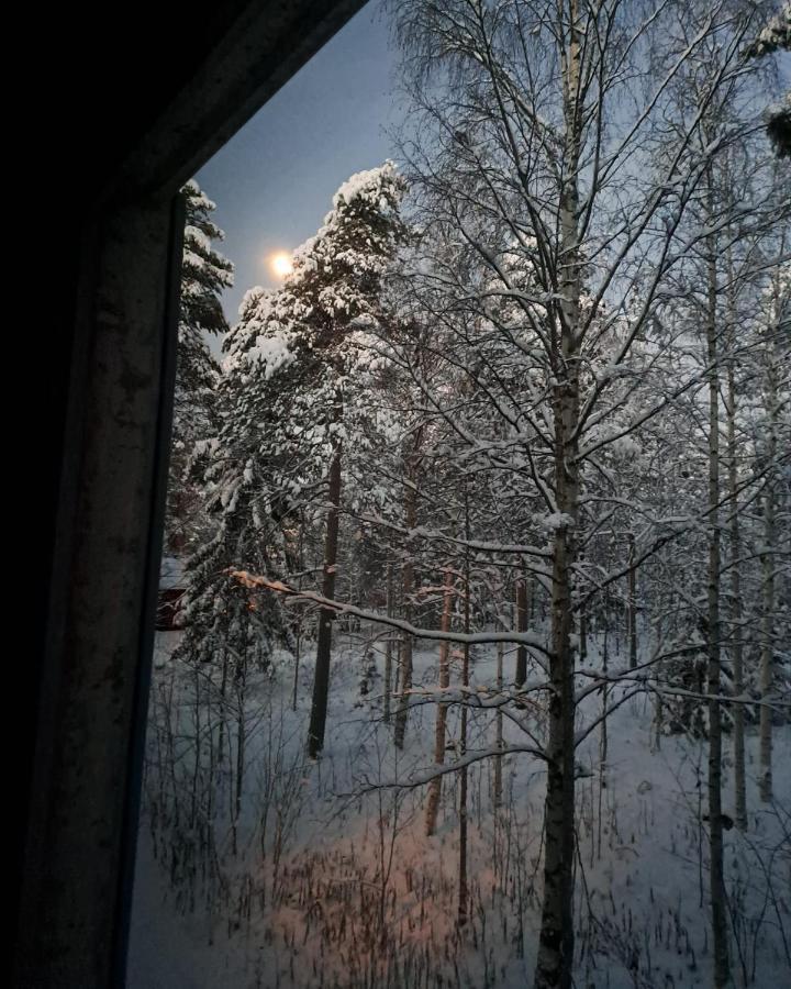 Room In Polar Circle Рованиеми Экстерьер фото